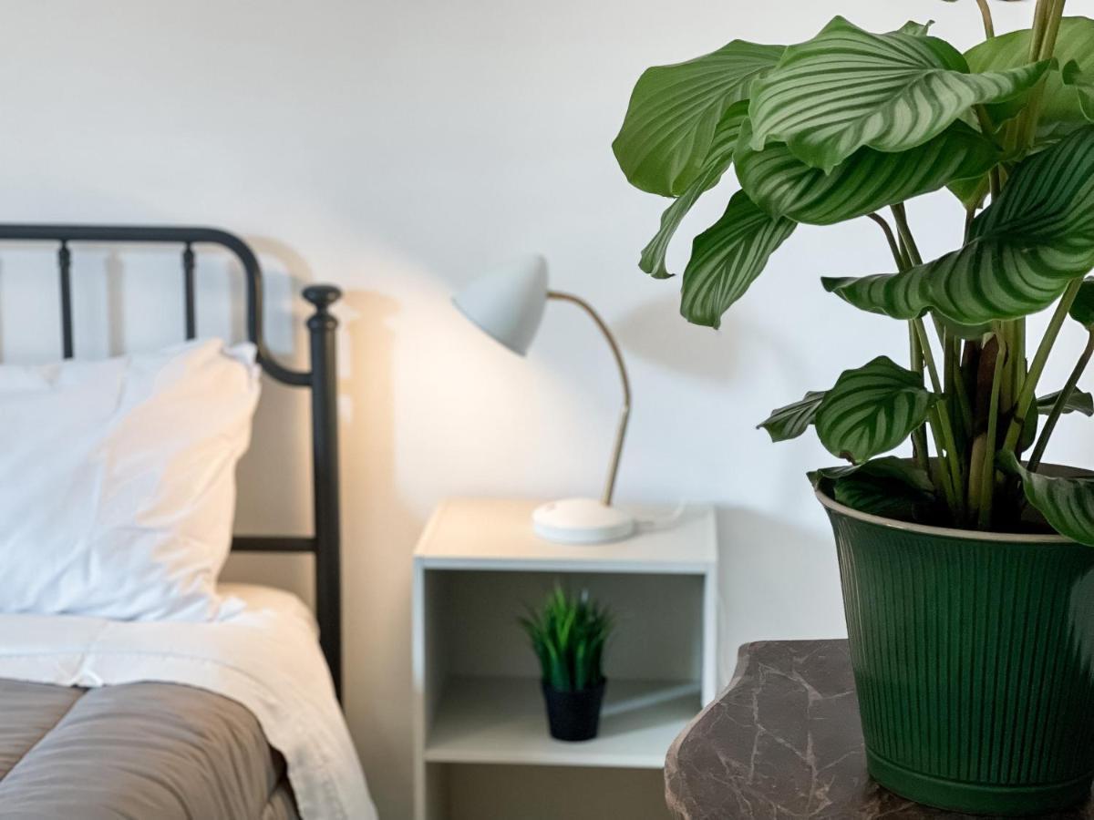 Sestio House Apartment Rome Bagian luar foto